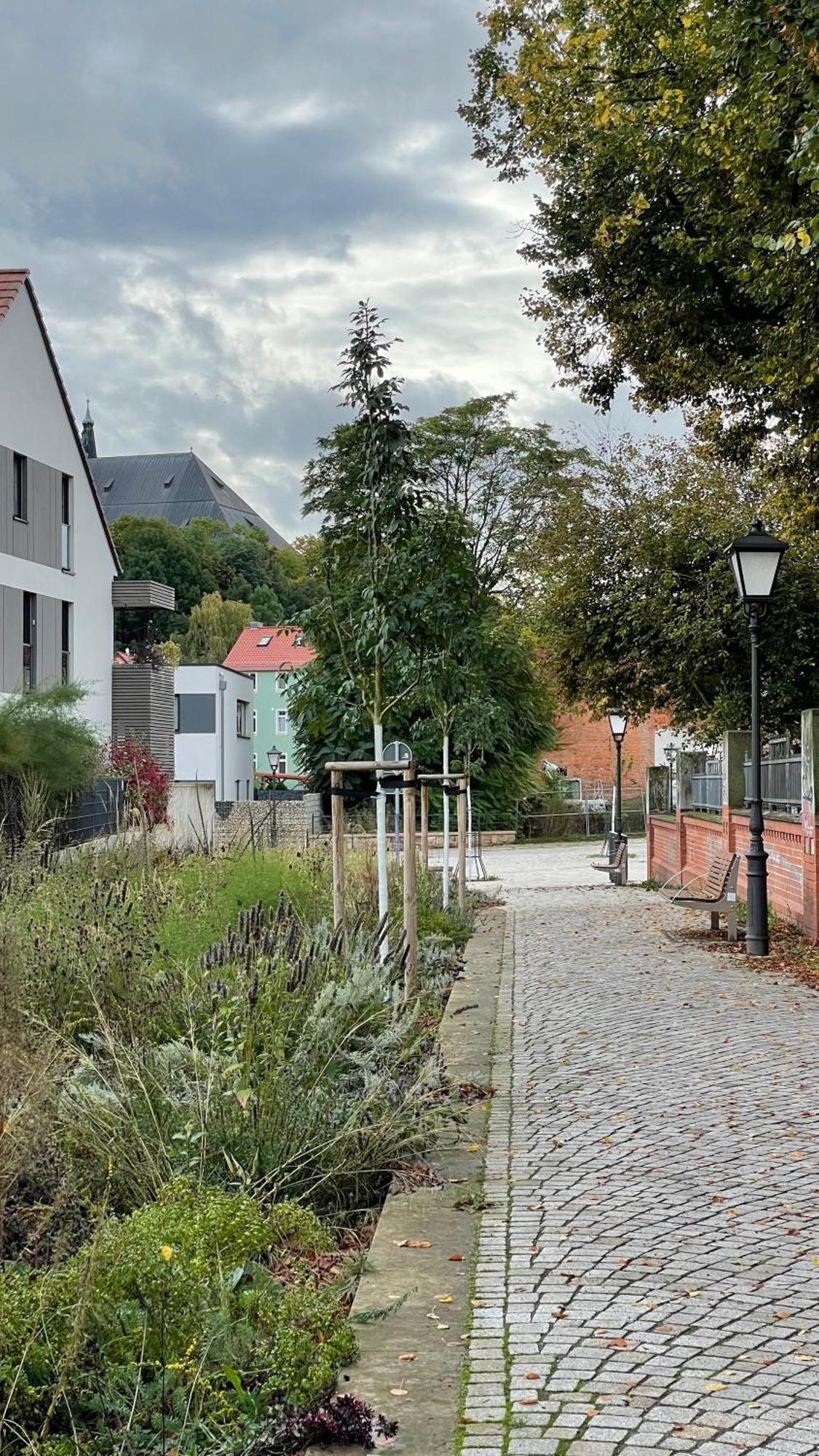 Neu! Oasis - Fewo Am Harz, Hochwertig Kernsaniert, 83 Qm, Eg Nordhausen Eksteriør bilde